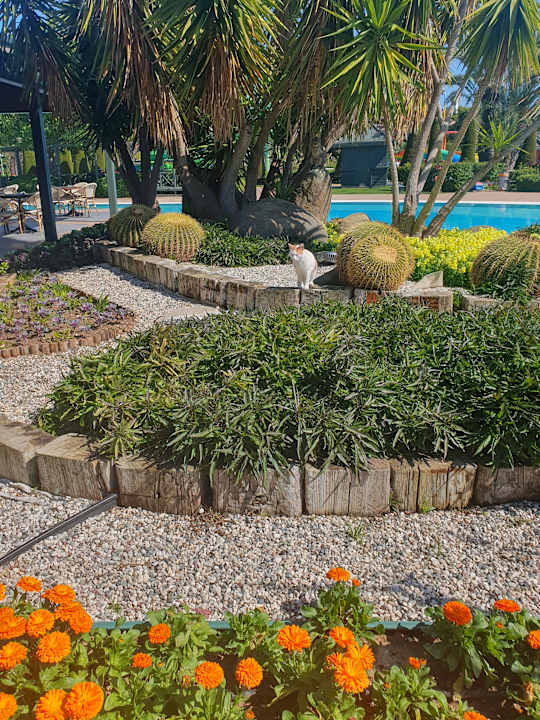Gartenanlage Limak Lara Deluxe Hotel & Resort