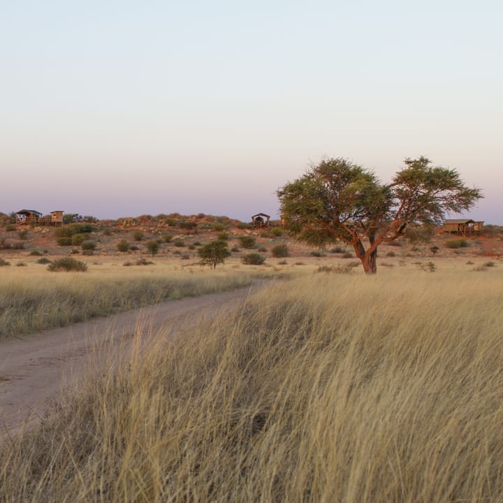 Außenansicht Teufelskrallen Lodge