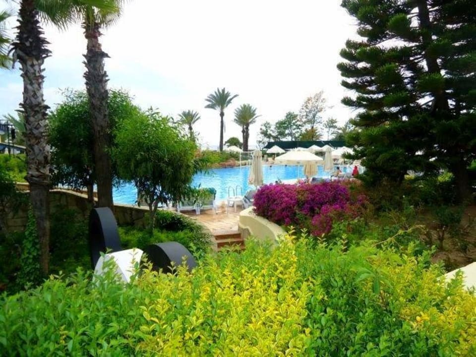 Widok z ogrodu na hotelowy basen. AQI Pegasos Resort