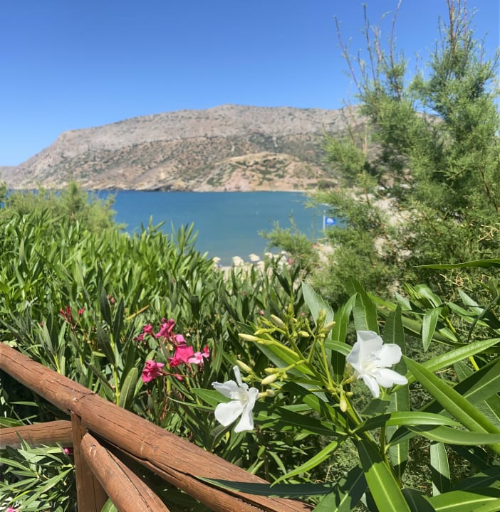 Ausblick Fodele Beach & Water Park Holiday Resort