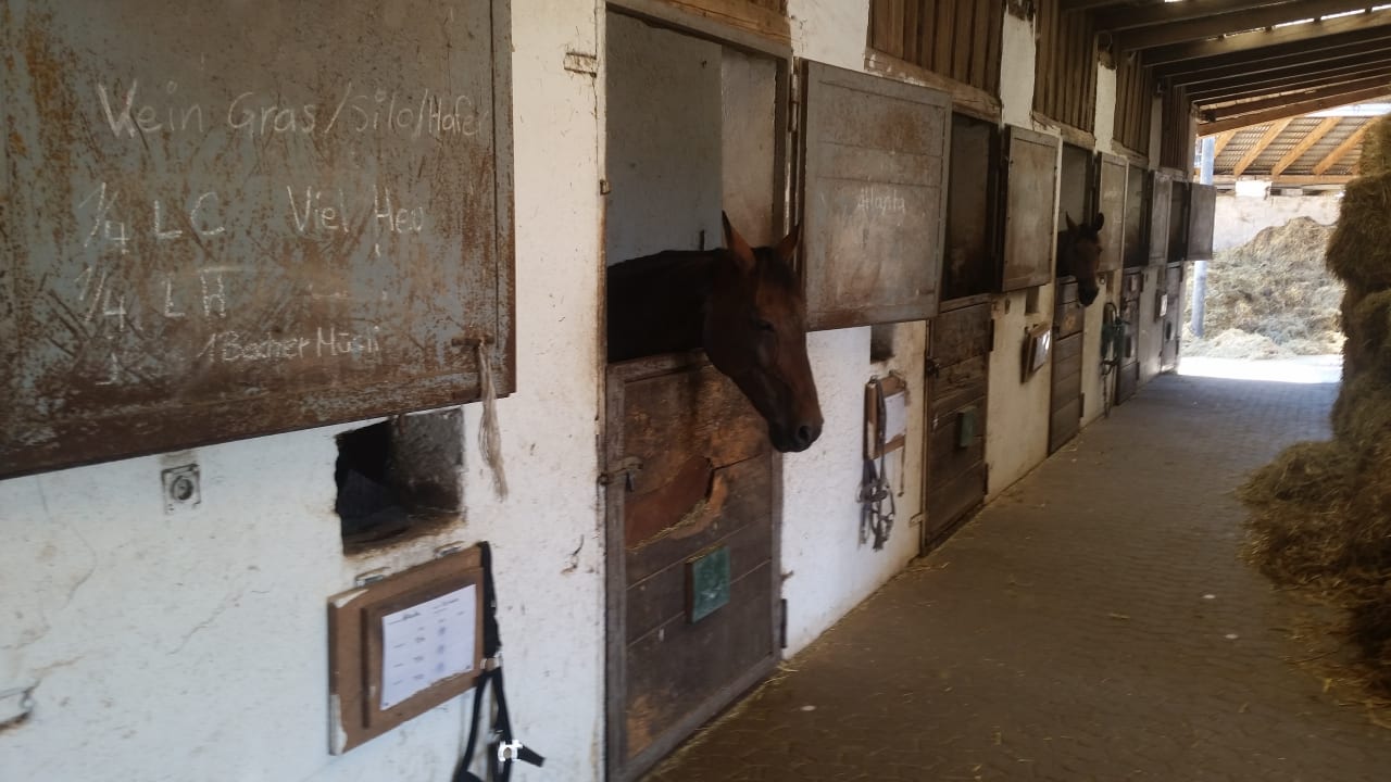 Außenansicht Hotel Reiterhof Altmühlsee