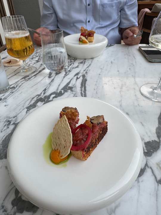 Gastro Acanthus Cennet Barut Collection