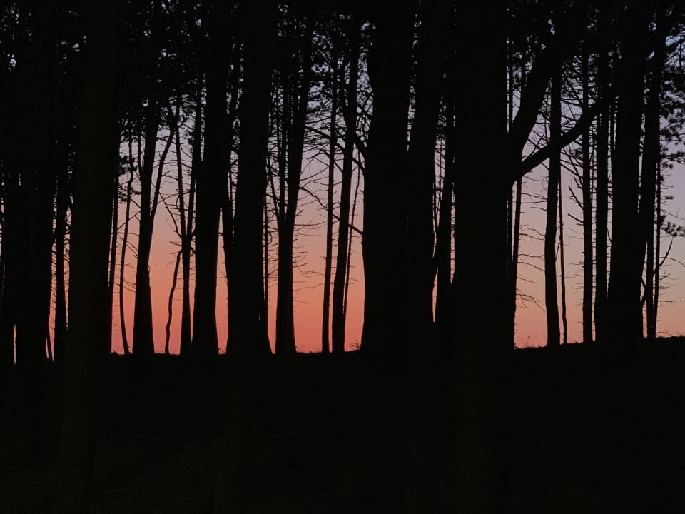 Strand Pelikan Resort