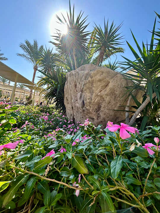 Gartenanlage JAZ Aquamarine Resort