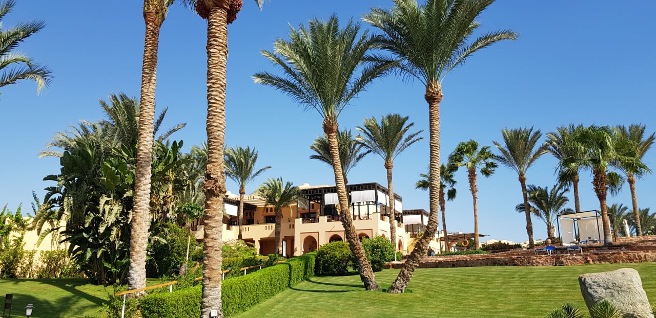 Gartenanlage Steigenberger Coraya Beach - Adults only