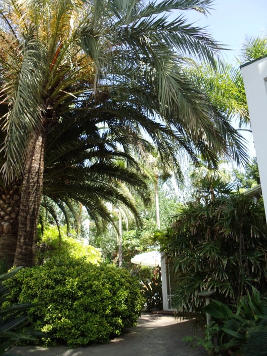 Hotelgarten Bahía de Alcúdia Hotel & Spa