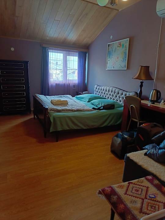 Zimmer When in Tbilis