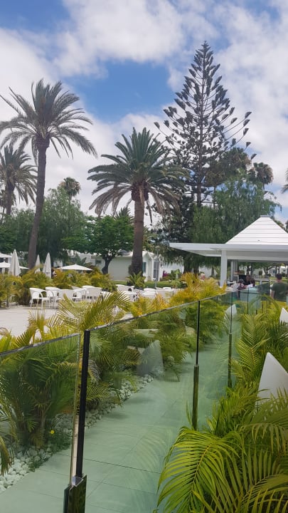 Pool Canary Garden Club