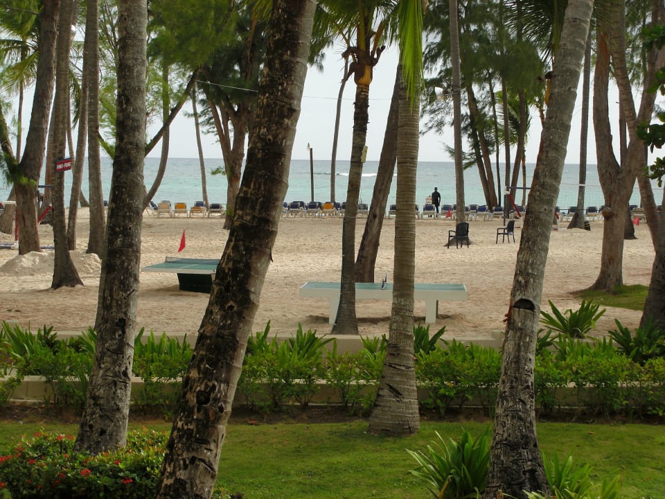 Blick vom Balkon Richtung Strand Vista Sol Punta Cana