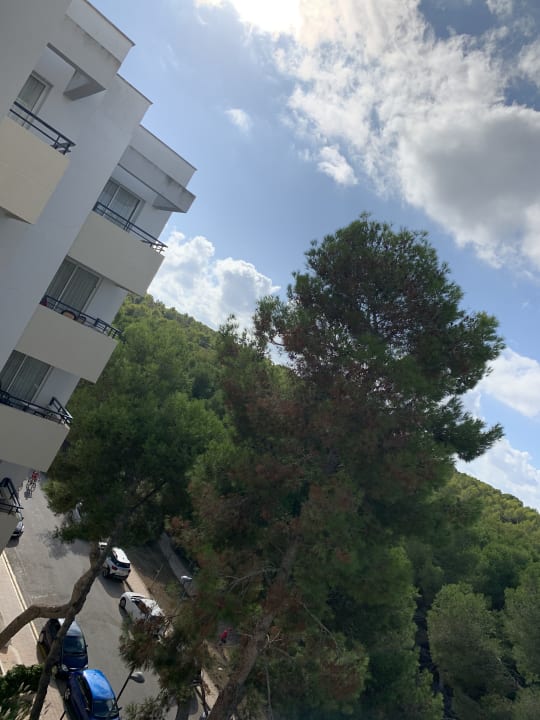 Ausblick Hipotels Bahia Grande