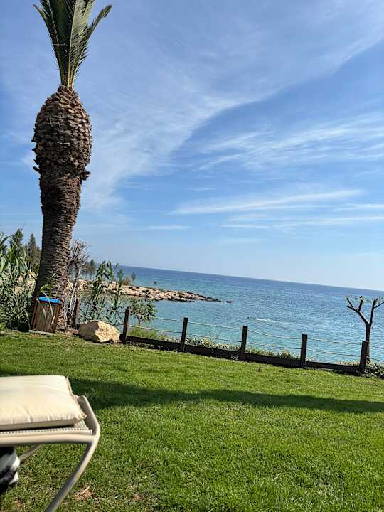 Gartenanlage Crystal Springs Beach Hotel
