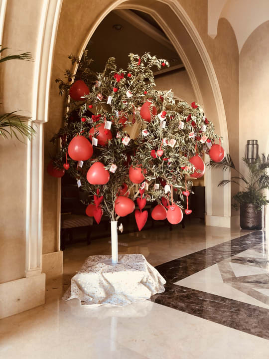 Zum Valentinstag Hotel JAZ Makadi Star & Spa
