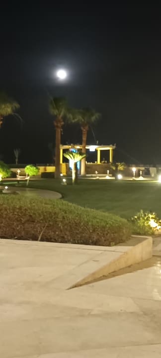 Gartenanlage Old Palace Resort