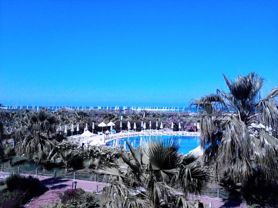 Anlage blick auf den Pool  Seaden Sea World Resort & Spa