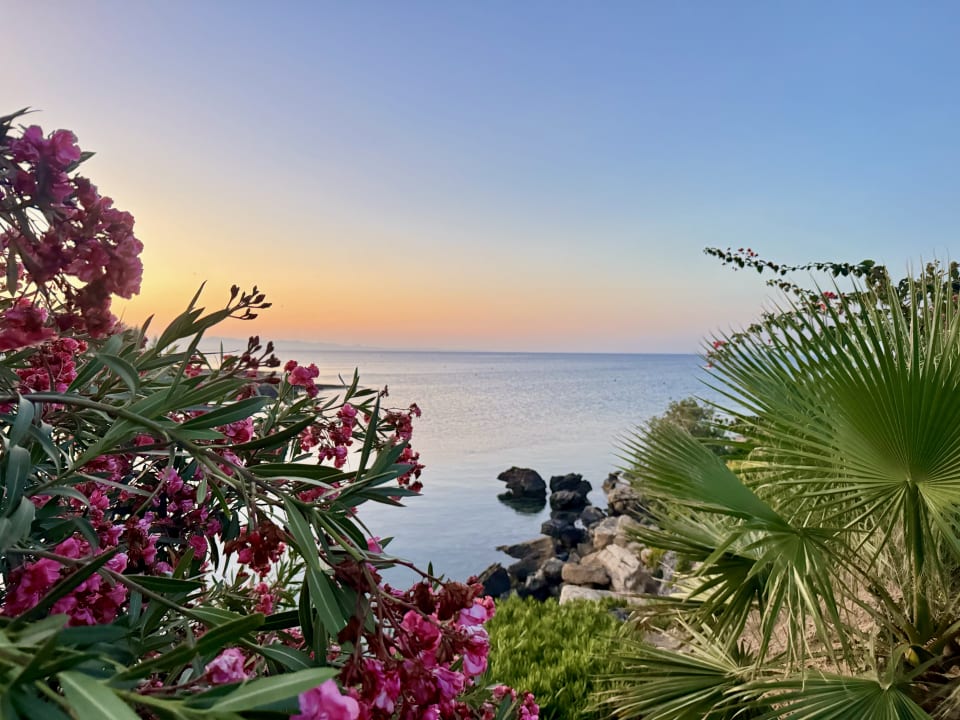 Ausblick Crystal Springs Beach Hotel