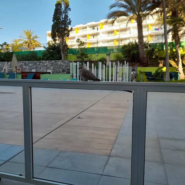 Außenansicht Apartamentos Los Aguacates