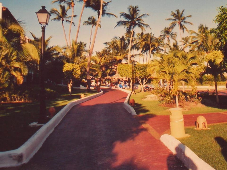 Weg zu den Hotelzimmer Occidental Punta Cana