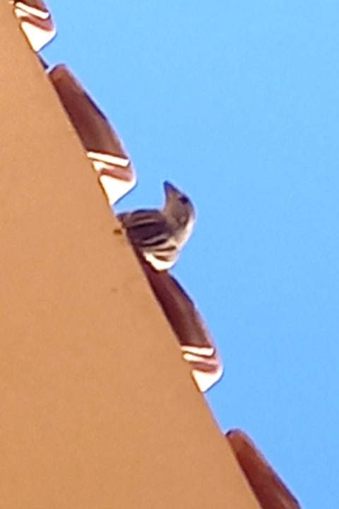 Zimmer Marriott Hurghada Beach Resort