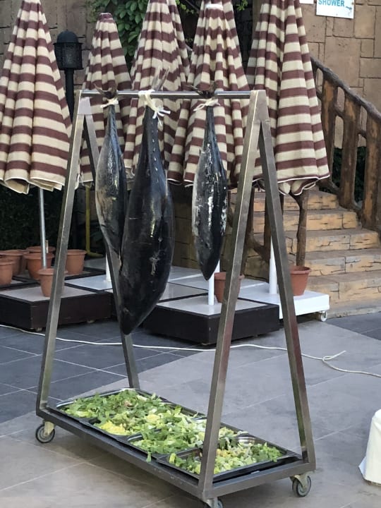 Gastro Adalya Ocean Deluxe