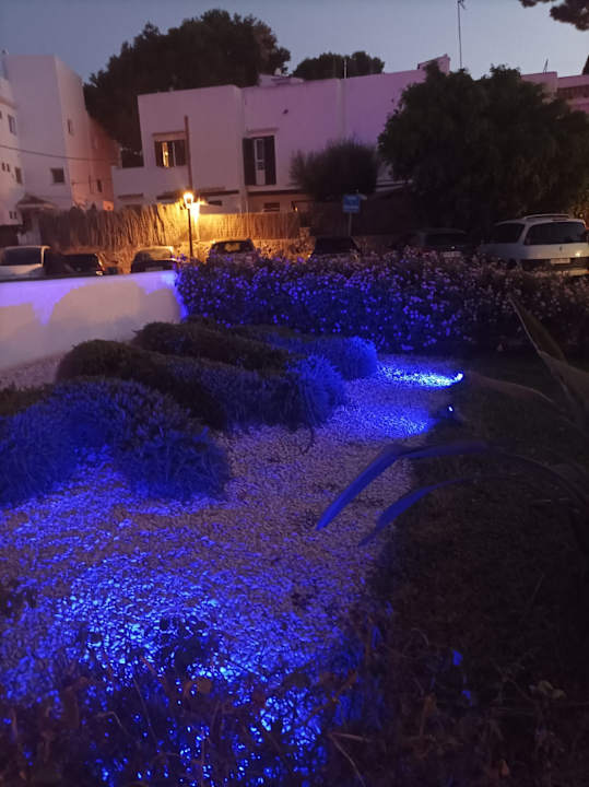 Gartenanlage Grupotel Rocador