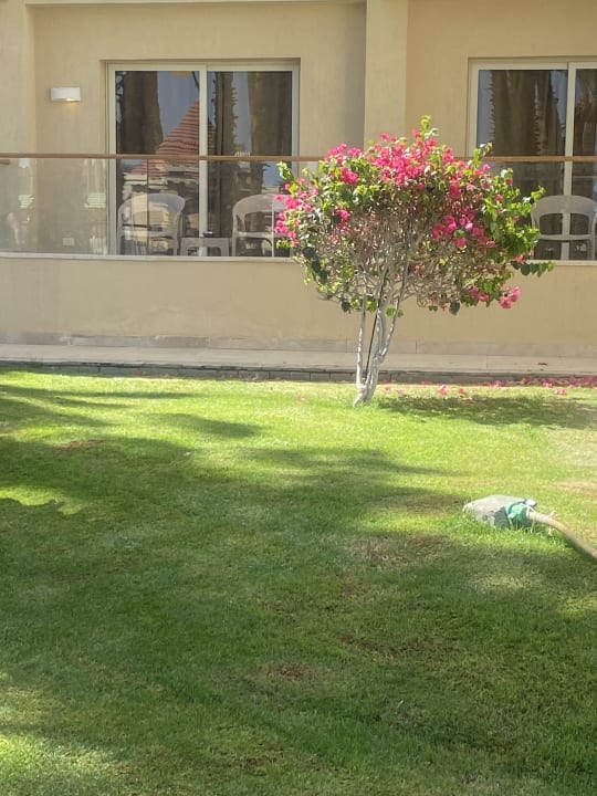 Gartenanlage Beach Albatros Resort