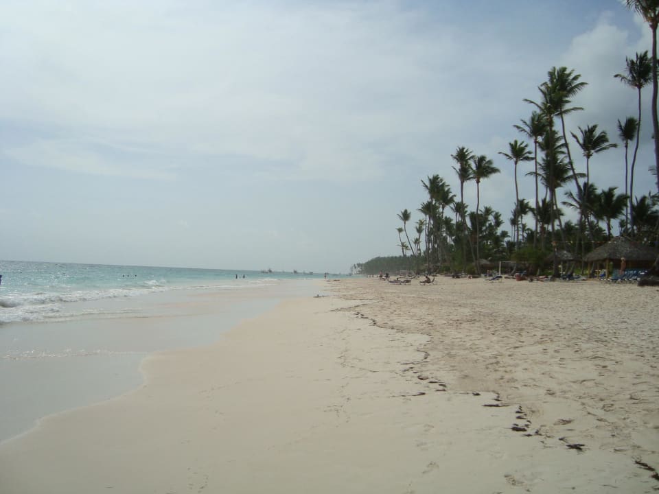 Grand Palladium Bavaro Resort & Spa  Grand Palladium Punta Cana Resort & Spa