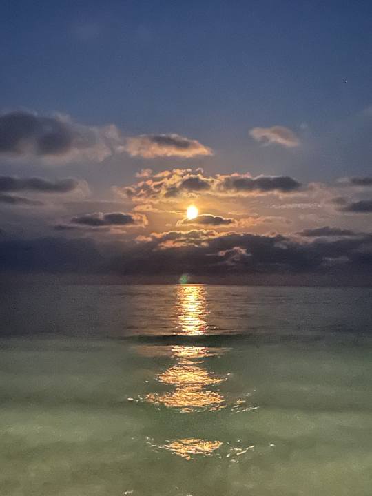 Strand allsun App.-Hotel Orient Beach