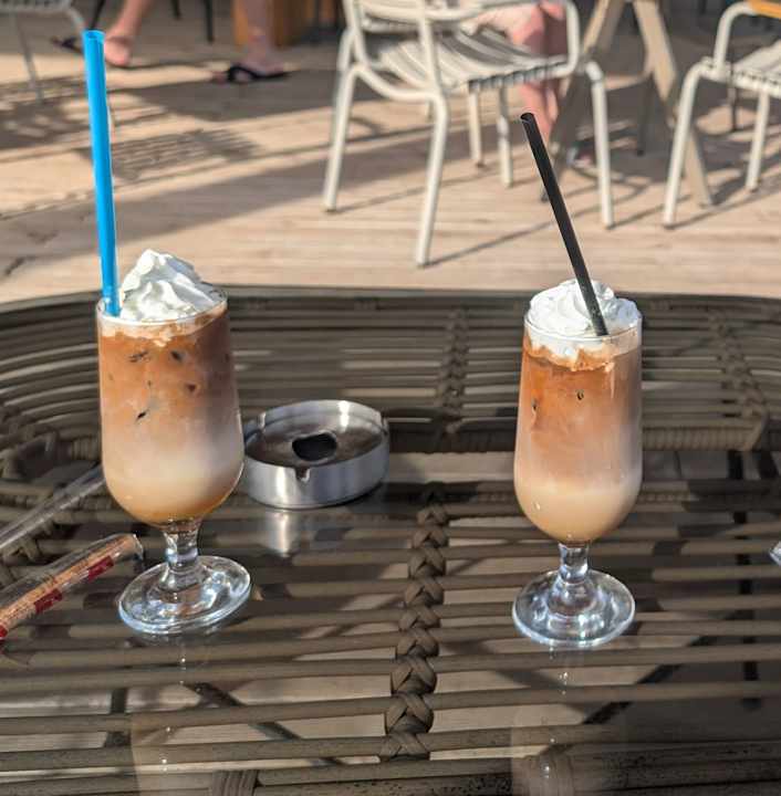 Strand Seashell Vega