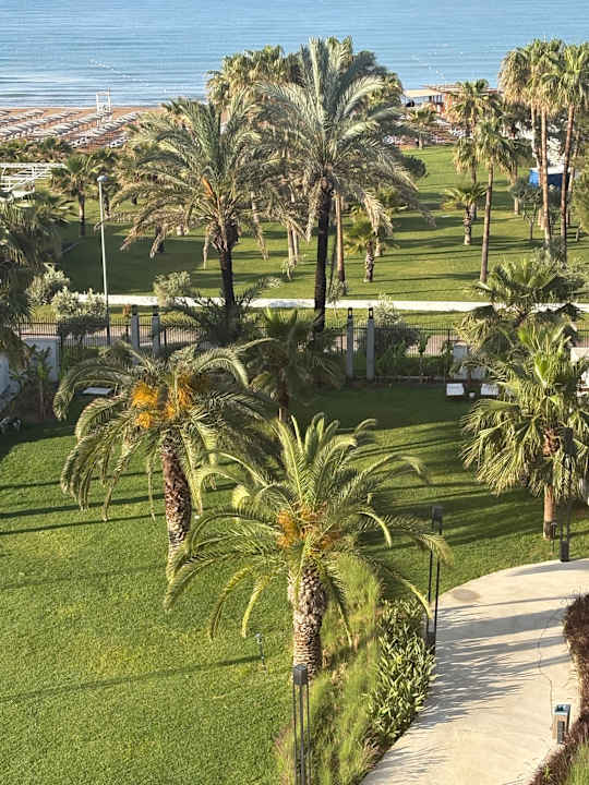 Gartenanlage Süral Saray Hotel