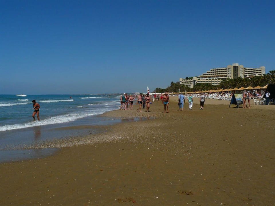 Strand Side Star Elegance