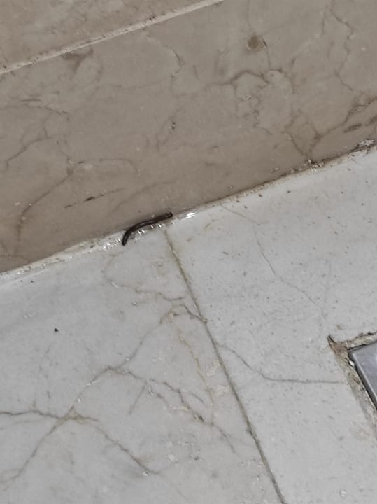 Zimmer Hotel Grand Palladium Palace Resort, Spa & Casino