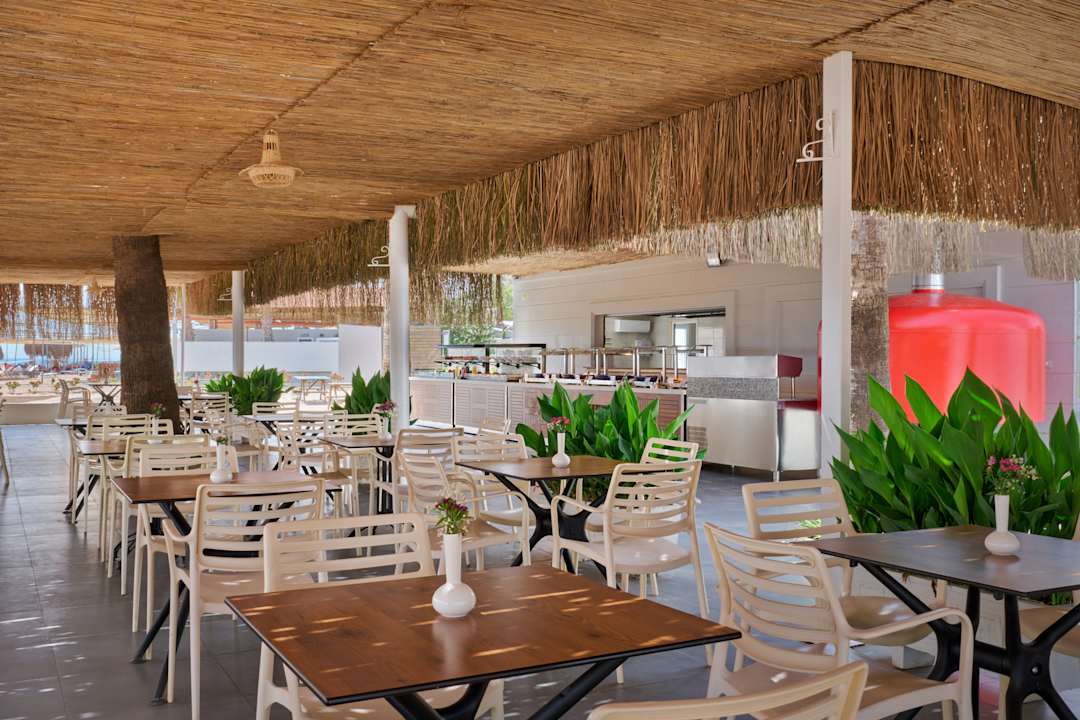 Gastro Asteria Collection Side