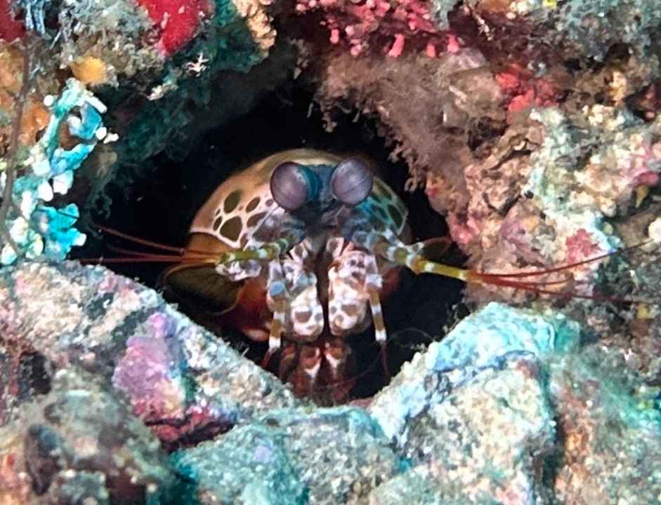 Sport & Freizeit Sali Bay Resort