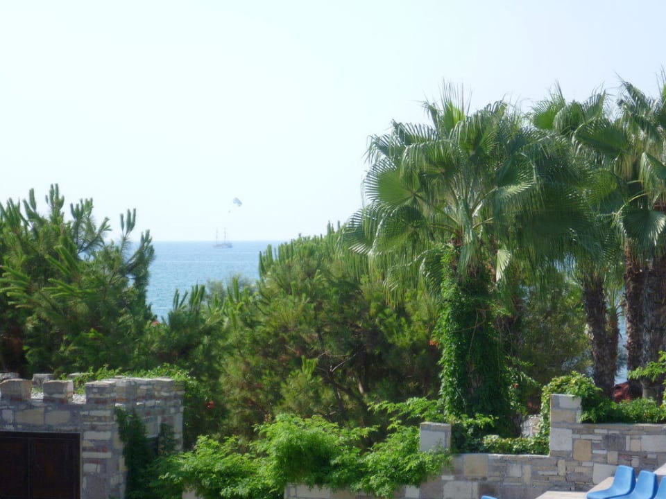 Herrliche Aussicht Arum Barut Collection