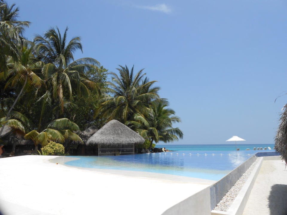 Vom Pool direkt ins Meer Kuramathi Maldives