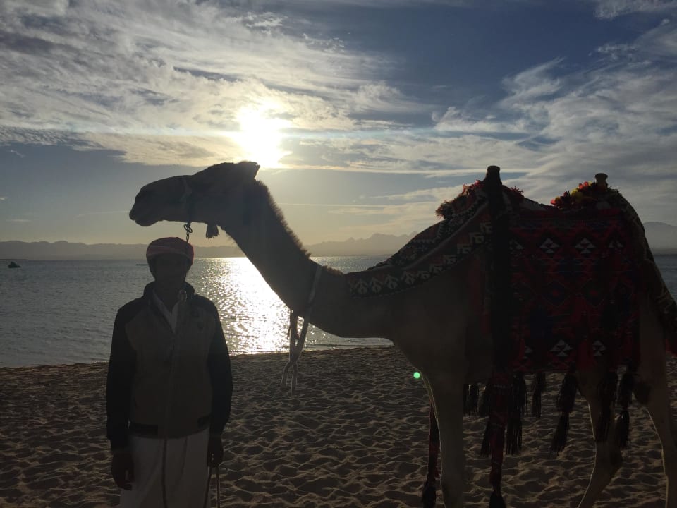 Ägypten Pur ROBINSON SOMA BAY