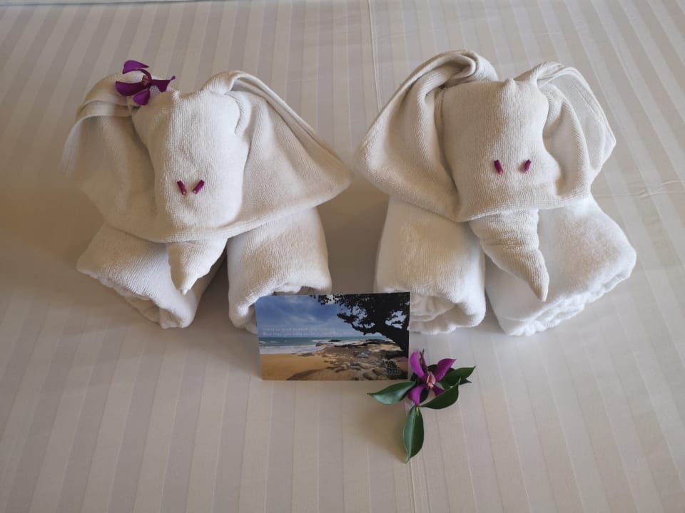 Zimmer Moracea by Khao Lak Resort