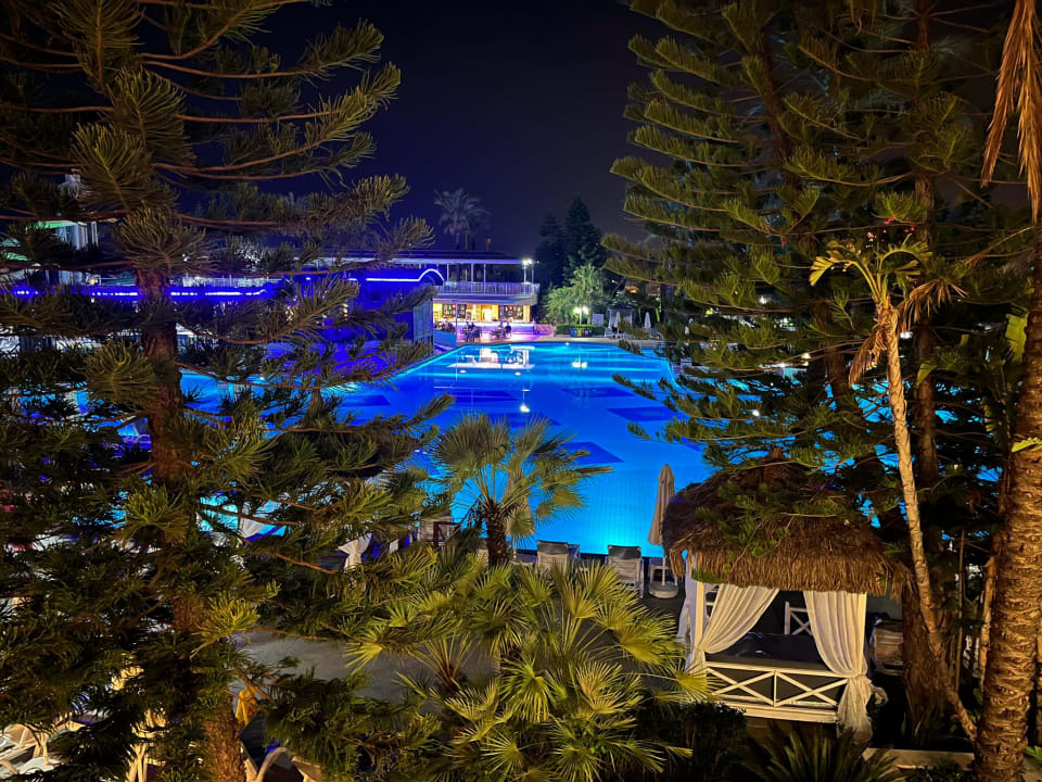 Pool Hotel Delphin Diva