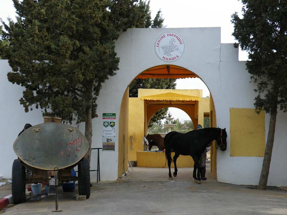 Reitschule Hotel El Mouradi Cap Mahdia