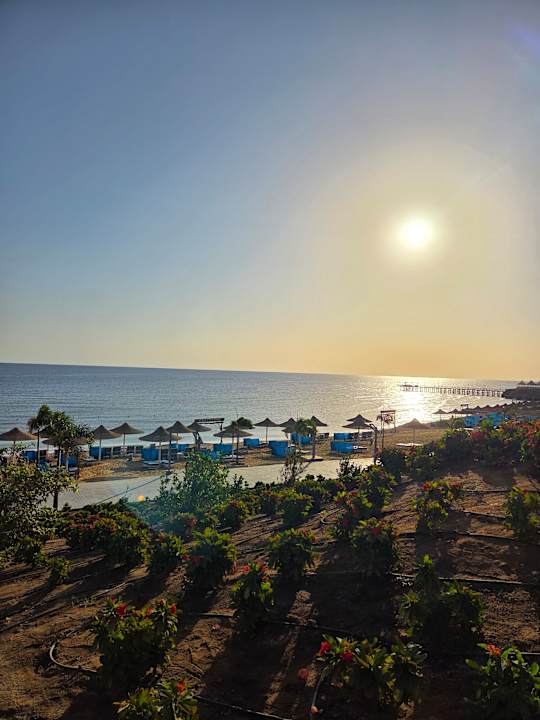 Ausblick Pickalbatros Vita Resort - Portofino Marsa Alam