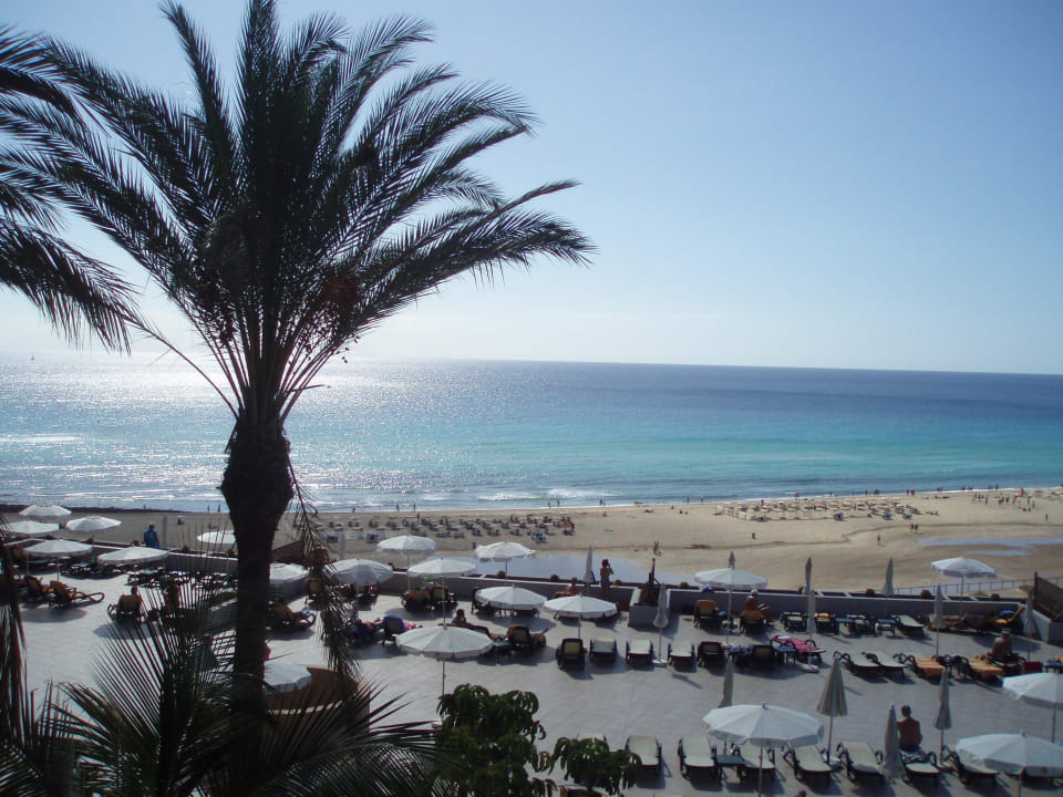 Hotelanlage und Strand Iberostar Selection Fuerteventura Palace