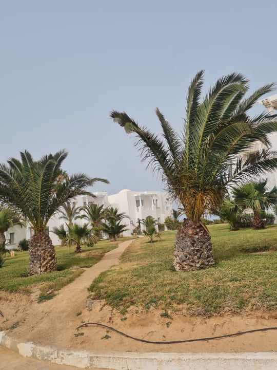 Gartenanlage Vincci Helios Beach
