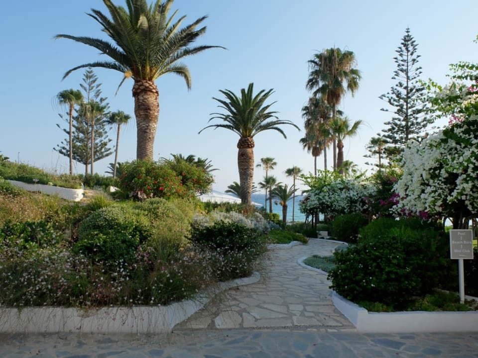 Gartenanlage Hotel Nissi Beach Resort