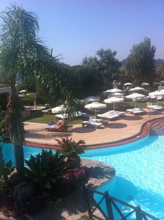 Pool und Liegewiese Hotel Calypso Beach