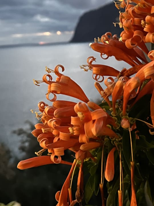 Ausblick Hotel Golden Residence