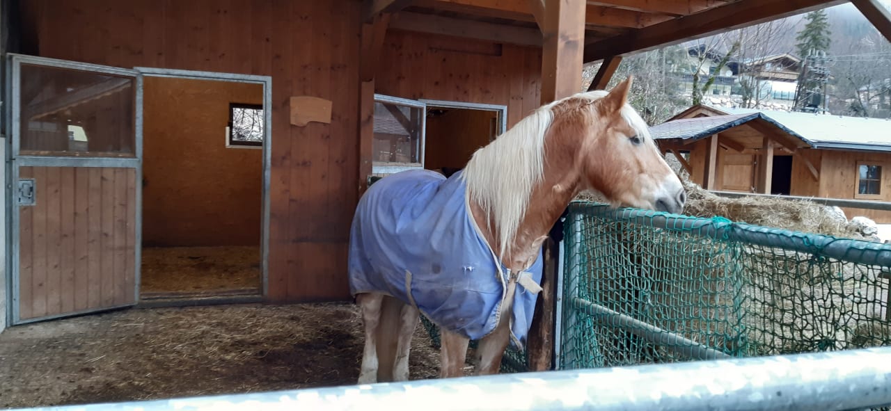 Sport & Freizeit POST Family Resort