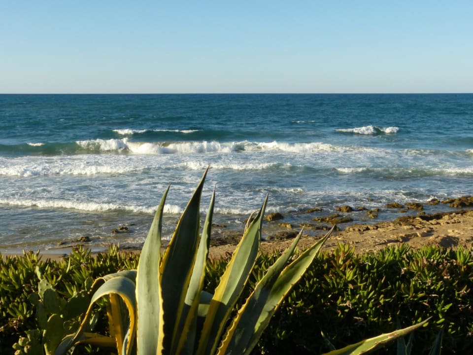 Blick zum Meer Sentido Kyknos Beach Adults Only 16+