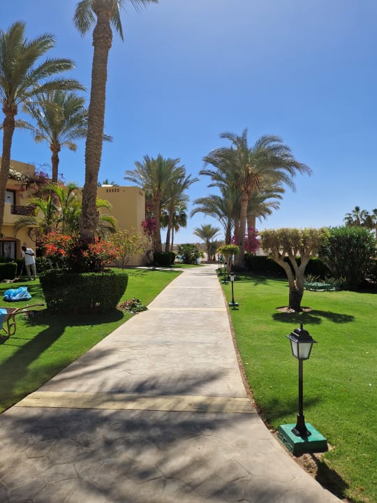 Gartenanlage Steigenberger Coraya Beach - Adults only