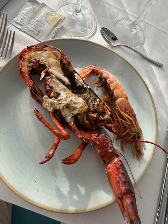 Gastro Sentido Fido Punta del Mar – Adults only