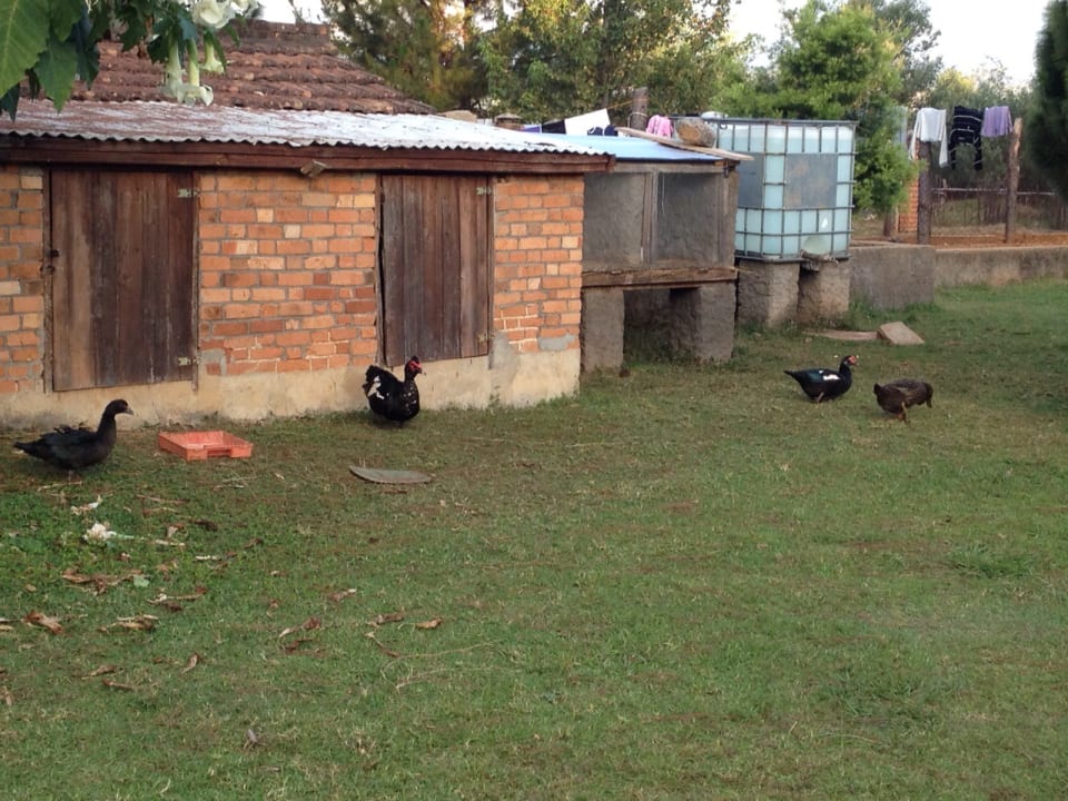 Gartenanlage Guesthouse Madalief